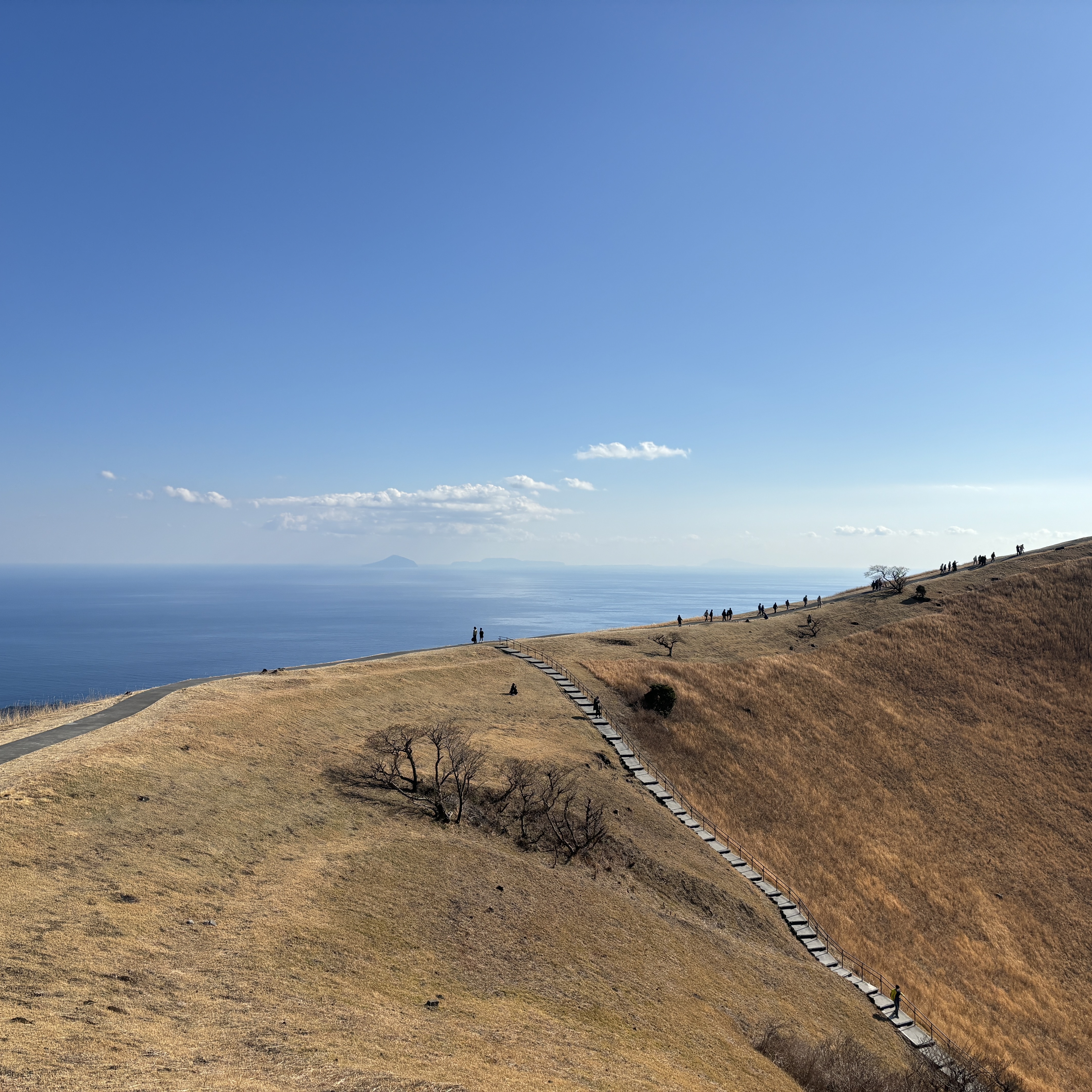 大室山景色