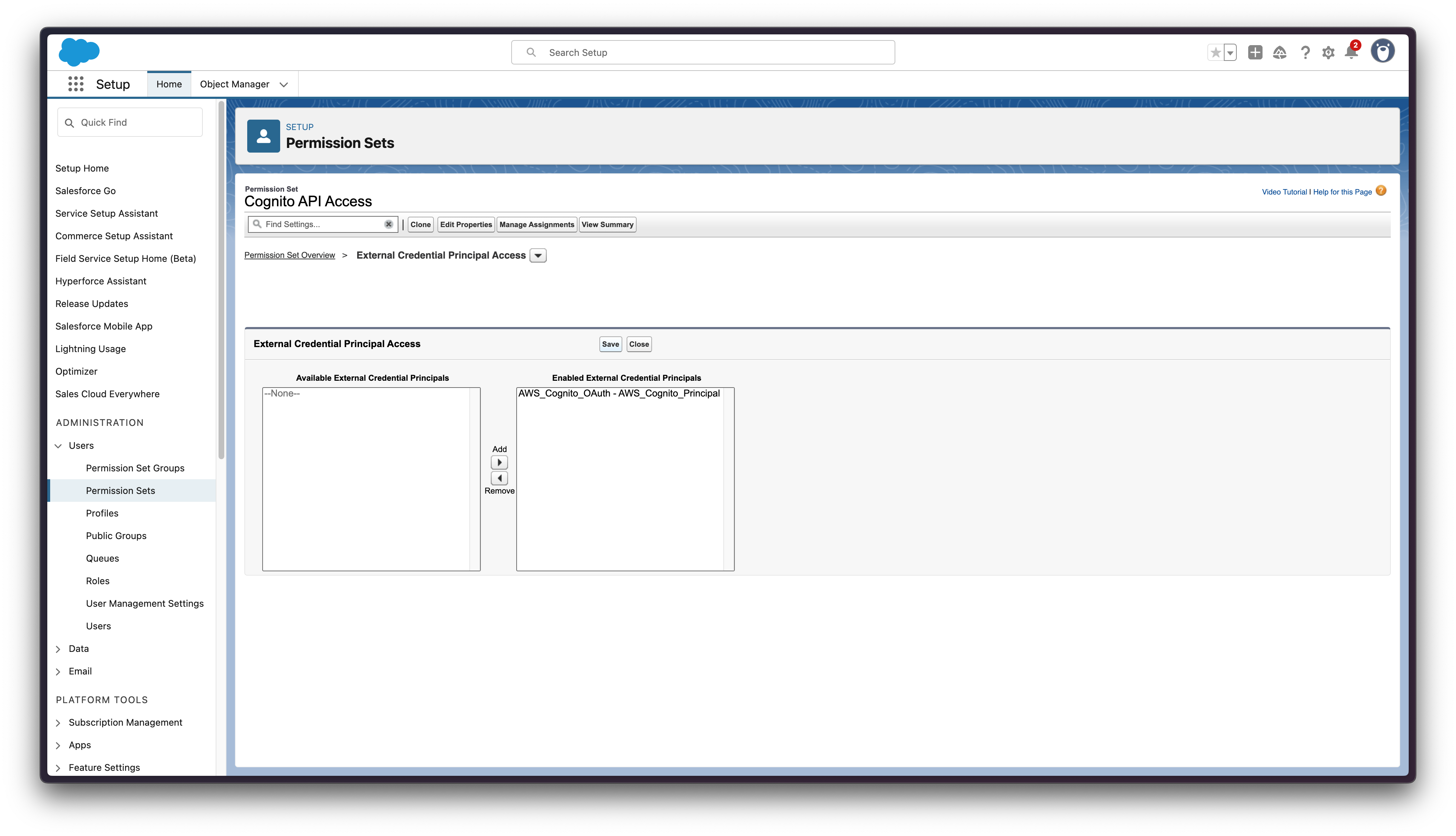 Cognito API Access